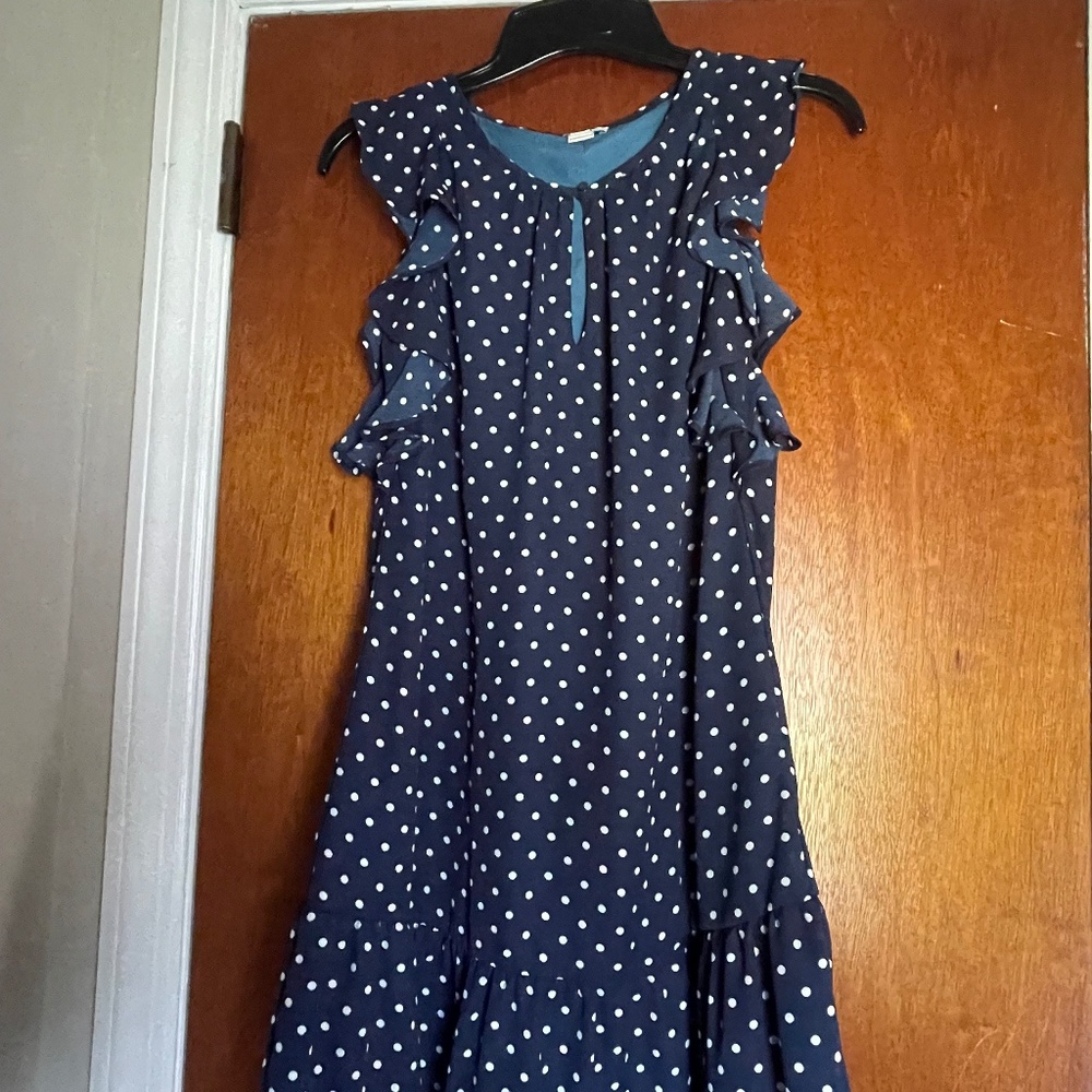 J Crew dress